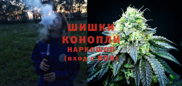 МДПВ Медногорск