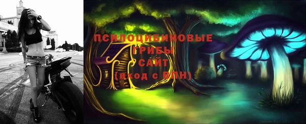 МДПВ Медногорск